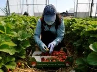 Заробитчане в Польше