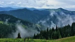 У украинцев появилась возможность самостоятельно очистить Карпаты от мусора с помощью приложения
