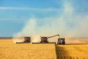 Украинским аграриям выделят 4,2 млрд грн в этом году: Милованов уточнил, куда пойдут деньги