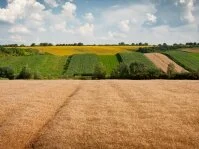 рынок земли