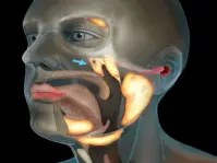 Слюнные железы