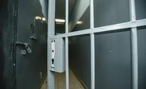 В Киеве мужчину посадили в тюрьму на девять лет за жестокое убийство своей матери