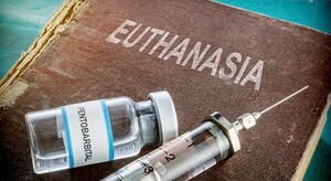 В Нидерландах разрешили делать детям