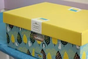 Родители новорожденных получат компенсацию вместо