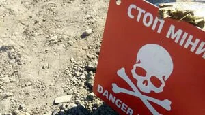 В ООС сообщили, когда начнут разминировать территорию возле Петровского