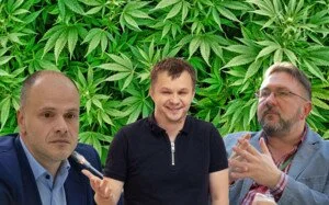Рынок марихуаны от команды Зе. Кому может быть выгодна декриминализация