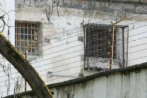 Под Киевом из колонии хотели выпустить виновника смертельной аварии
