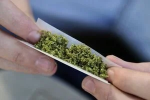 Канадцы стали покупать больше марихуаны из-за коронавируса