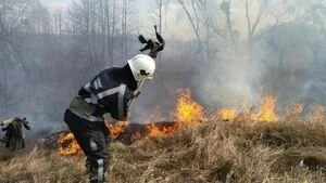 Зеленский подписал закон об усилении наказания за сжигание травы и загрязнение воздуха