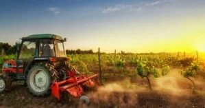 НБУ выбросил мелких фермеров с рынка земли