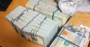 Пытался ввезти из Польши в Украину: пограничники изъяли $160 тысяч у жителя Хмельницкого