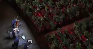 Оперный театр в Барселоне дал первый после карантина концерт: