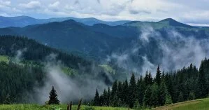 Украинцам посоветовали не отдыхать на одесских пляжах: названа причина