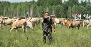 В Кабмине рассказали, что часть фермеров сможет получить дотации за содержание коров