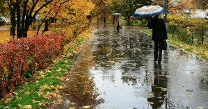 Дожди и первый снег: синоптики предупредили о непогоде в ряде областей Украины 15 ноября