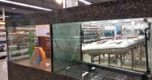 В супермаркете Херсона выбросили 36 кг рыбы из аквариума, где искупался парень: полиция наказала блогера