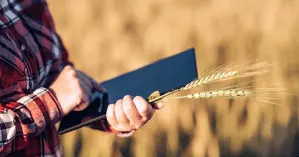 Зеленский утвердил создание аграрного реестра и виды поддержки сельхозпроизводства